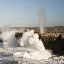 Bufones en Arenillas