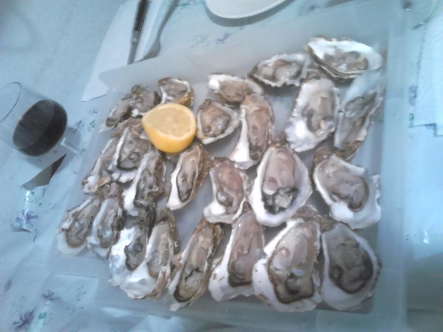 OstrasOstras de la Bahía de Arcachon. Comida típica de la zona.