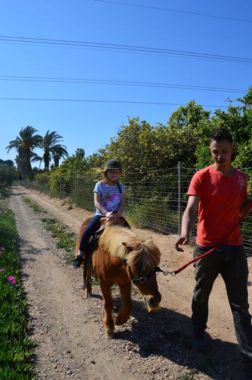 Foto de los servicios de El Rancho