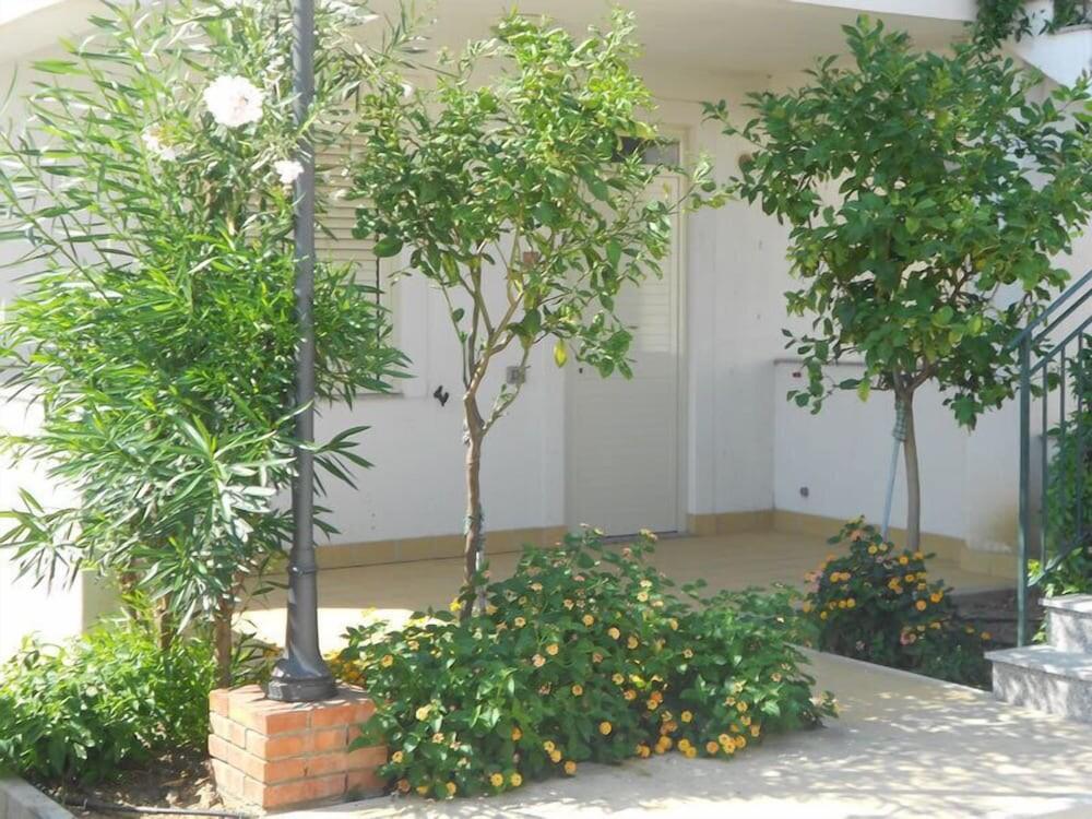 Foto del entorno de Aparthotel Medimare Residence Club