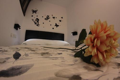 Foto de una habitación de FP HOTELs