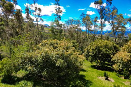 Foto de los servicios de Hacienda San Isidro De Iltaqui
