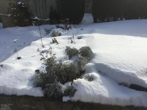 Foto general de Bed-and-Breakfast Ferme de la Petite Fagne