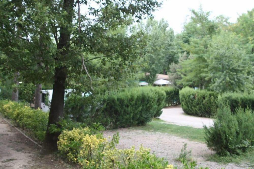 Foto del entorno de Camping Besalu