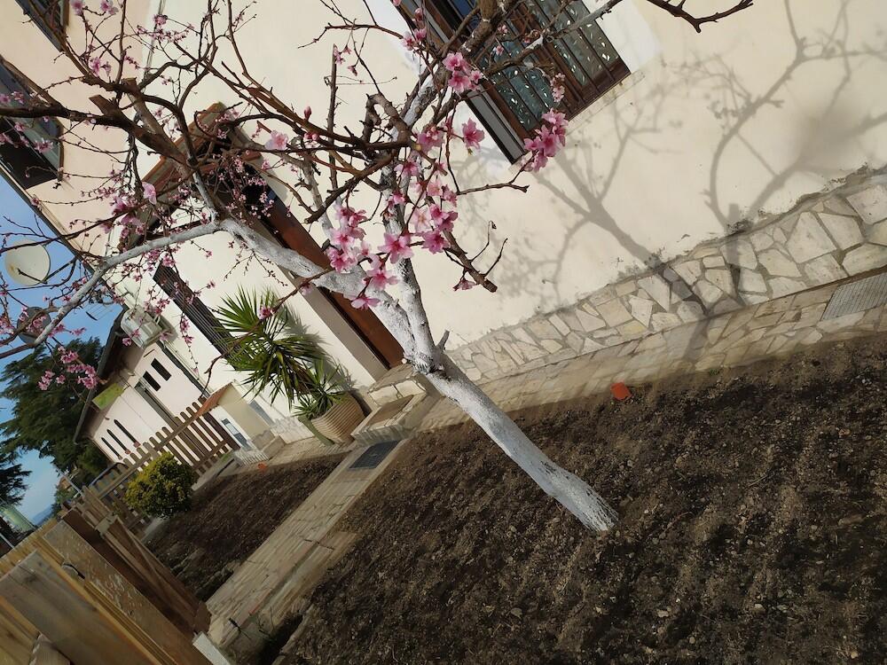 Foto del entorno de Va(i)lletta Fiorita