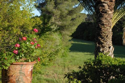 Foto de los servicios de Bed-and-Breakfast La Bellonette