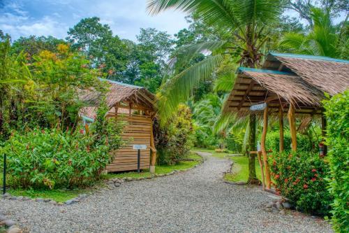 Foto de las zonas nobles de La Rana De Cahuita