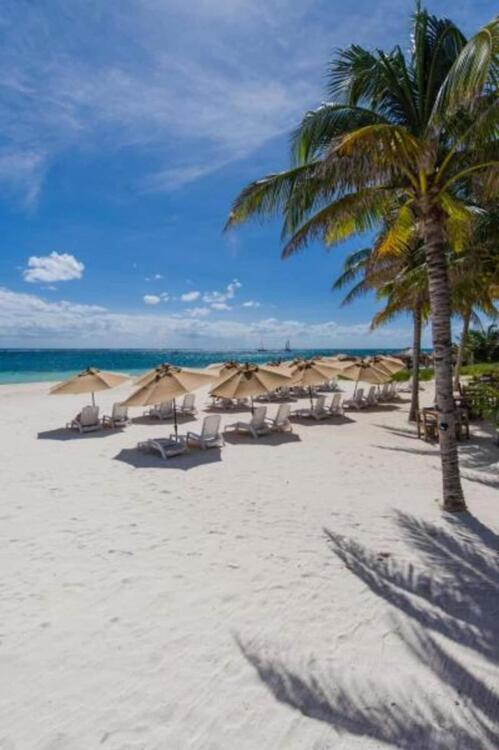 Foto del entorno de Capital O Hotel Arena Beach Club