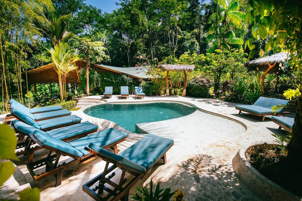 Foto de los servicios de Bed-and-Breakfast Selva Armonia