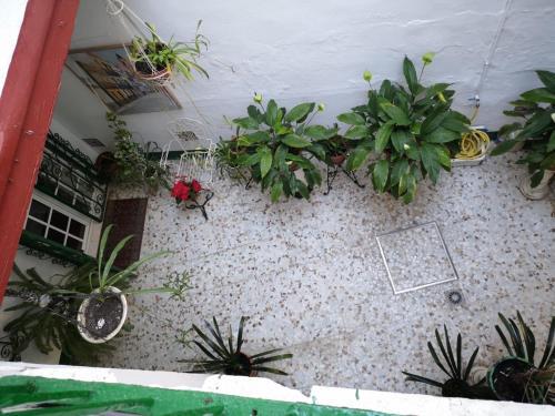 Foto del exterior de Santa Isabel Apartaments low cost rooms