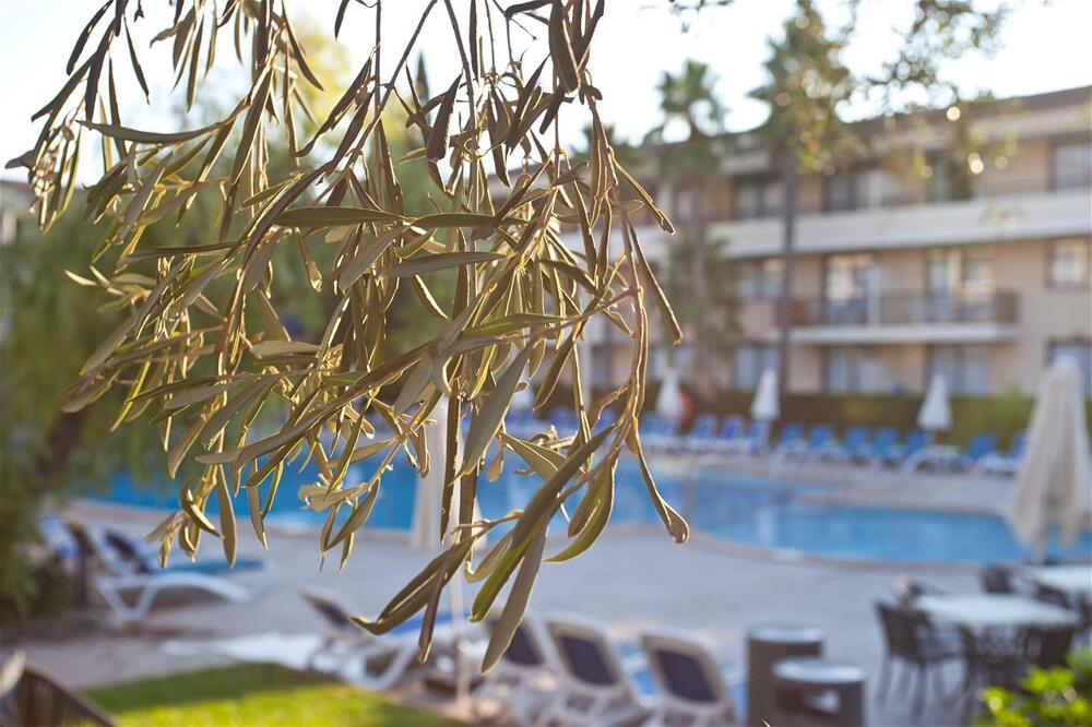 Foto de los servicios de Aparthotel Bahia Pollensa