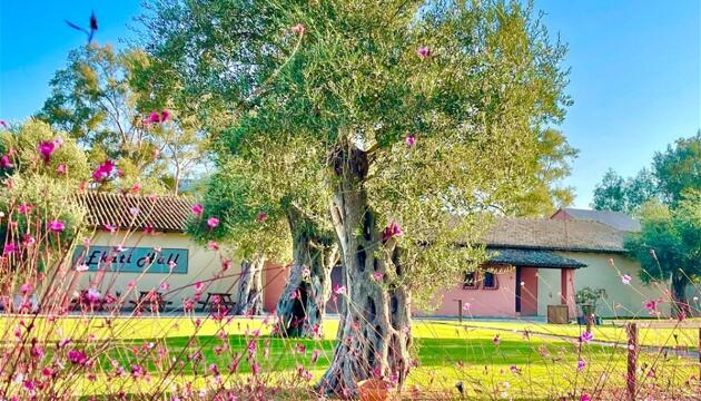 Foto de Hotel Messonghi Beach Holiday Resort