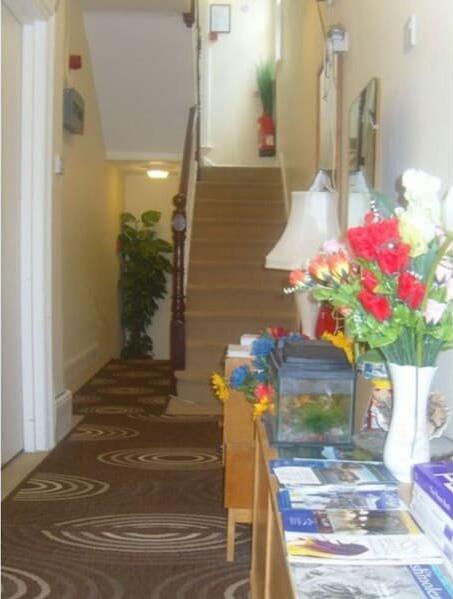 Foto de las zonas nobles de Hostal Amazon Guest House