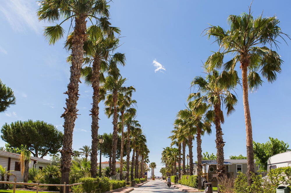 Foto general de Camping Estival Vendrell Platja