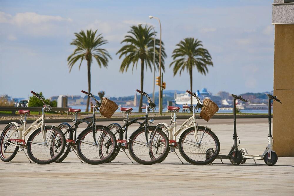 Foto de las zonas nobles de Hotel Melia Palma Bay