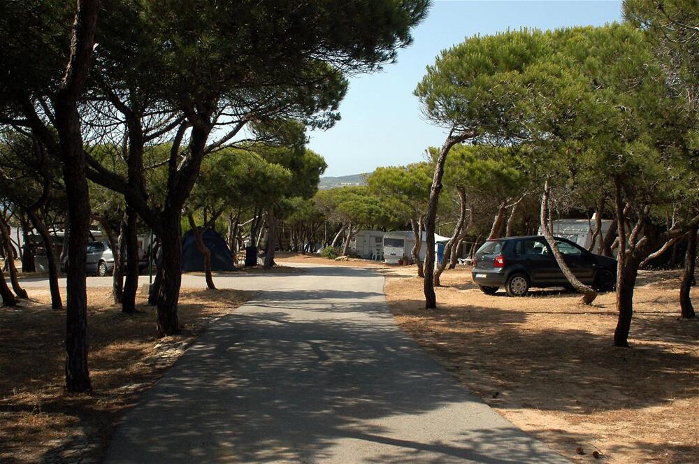Foto general de Camping Parque De Campismo Orbitur Guincho