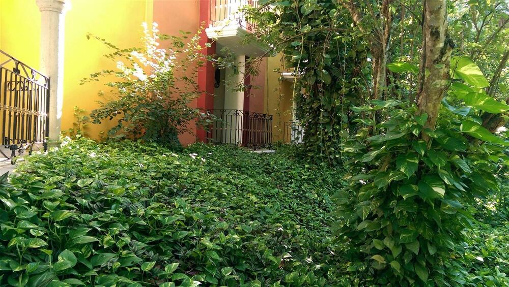 Foto general de Hotel Ecotel Quinta Regia