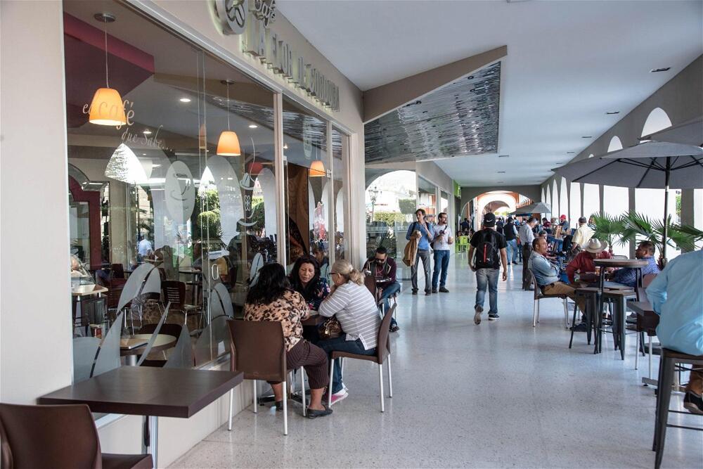 Foto generica Hotel Fray Junipero Serra