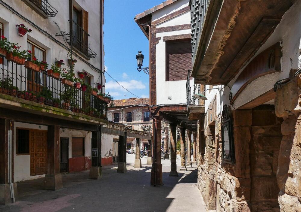 Foto general de Apartamentos Rurales Altuzarra