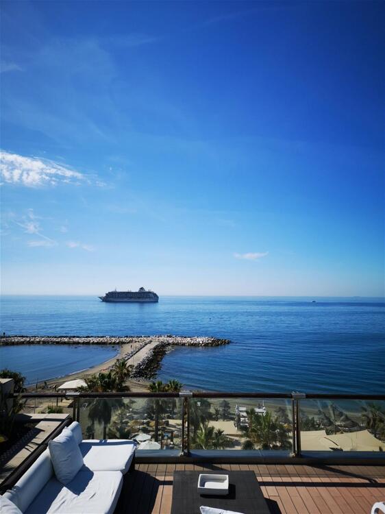 Foto general de Gran Hotel Guadalpín Banus