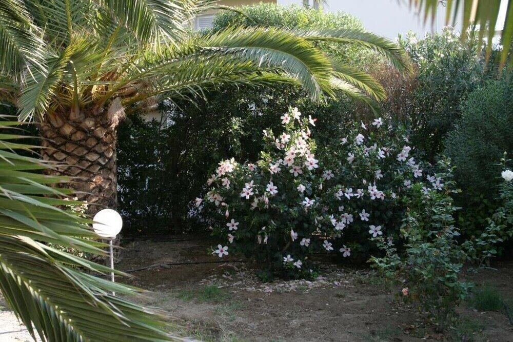 Foto del exterior de Gorgona Hotel