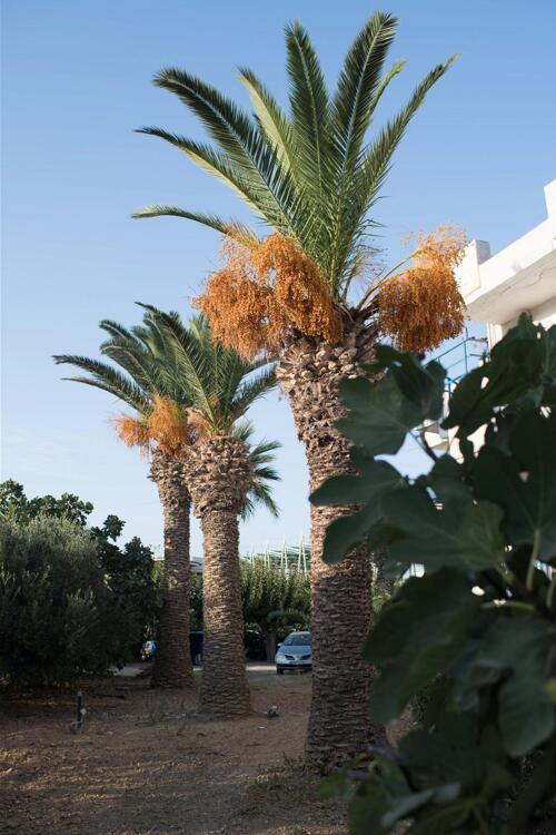 Foto general de Gorgona Hotel