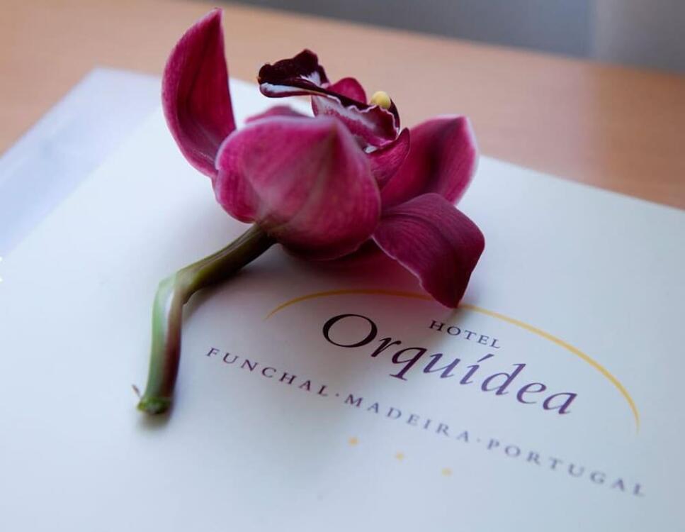 Foto de una habitación de Hotel Orquidea