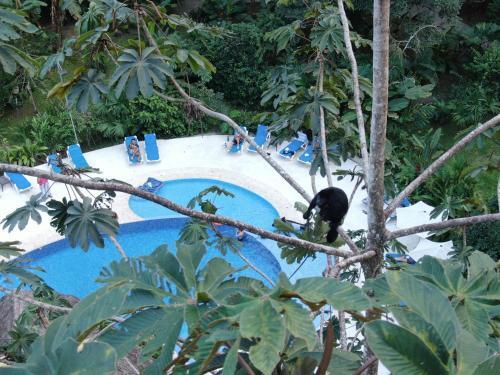 Foto de los servicios de Hotel Cariblue Beach and Jungle Resort