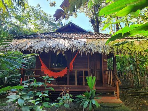 Foto general de Hotel Cariblue Beach and Jungle Resort