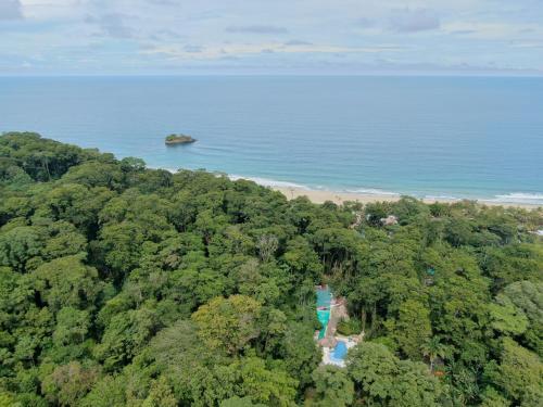 Foto del entorno de Hotel Cariblue Beach and Jungle Resort
