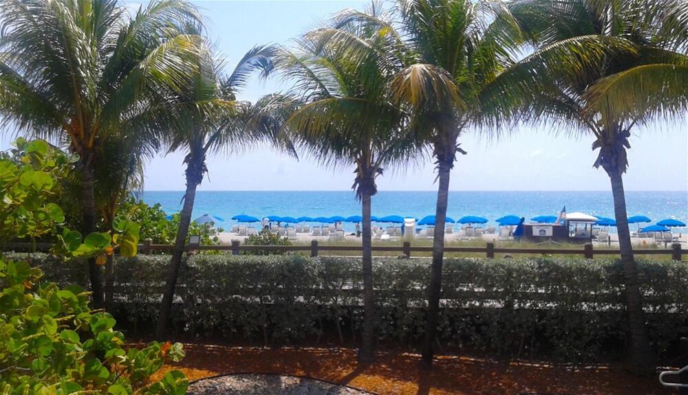 Foto del entorno de Hotel Best Western Plus Atlantic Beach Resort