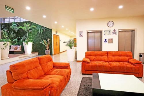 Foto de las zonas nobles de Hotel Aranzazu Eco