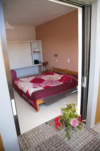 Foto general de Aparthotel Manolis Studios