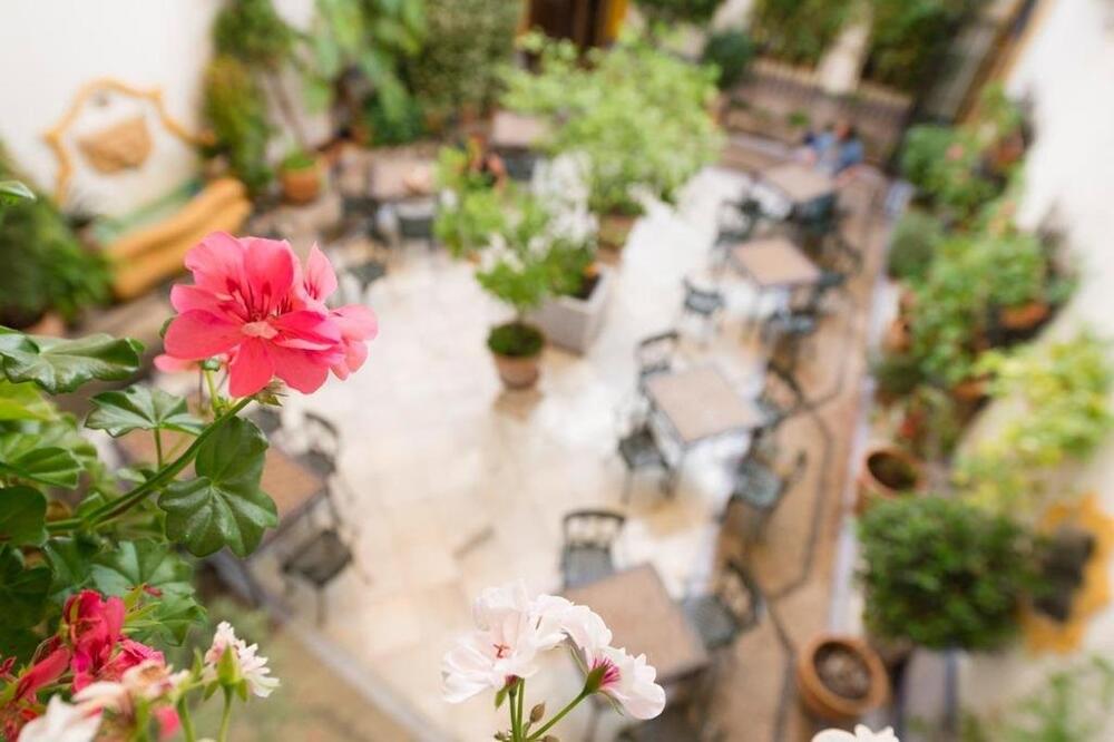 Foto de una habitación de Hotel Eurostars Maimonides