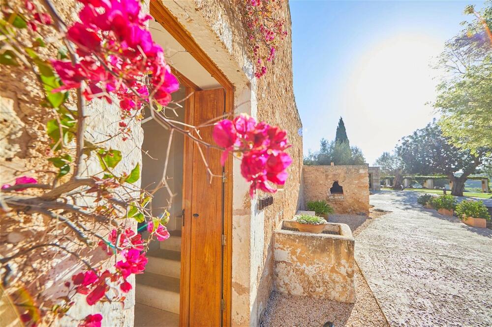 Foto general de Son Penya Adults Only Petit Hotel &amp;amp; Spa