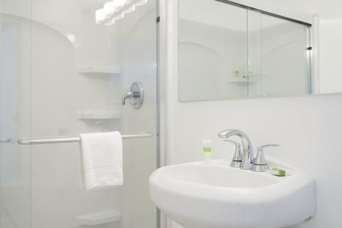 Foto del baño de President Villa