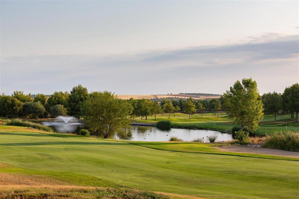 Foto general de Hotel Exe Layos Golf