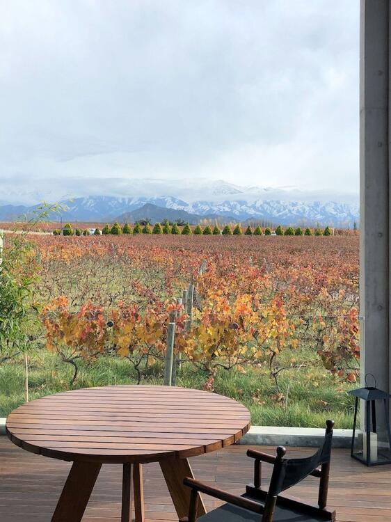 Foto de una habitación de Casa de Uco Vineyards and Wine Resort