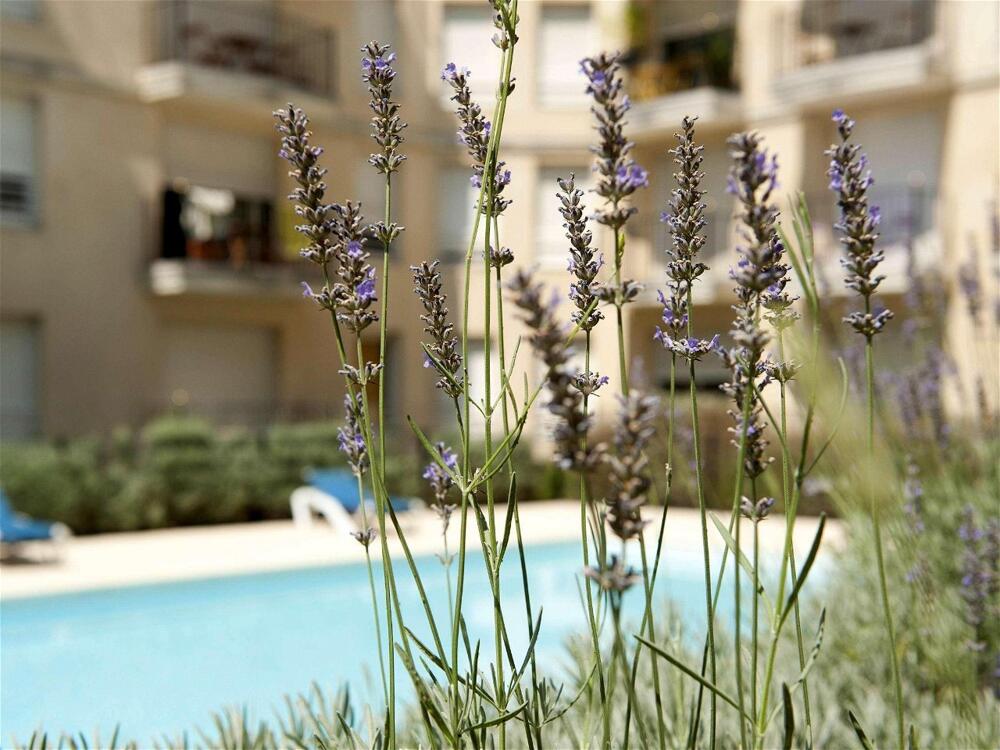 Foto general de Aparthotel Adagio Access Bordeaux Rodesse