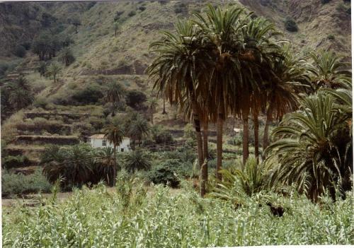Foto del entorno de Casa Rural Finca Piñero