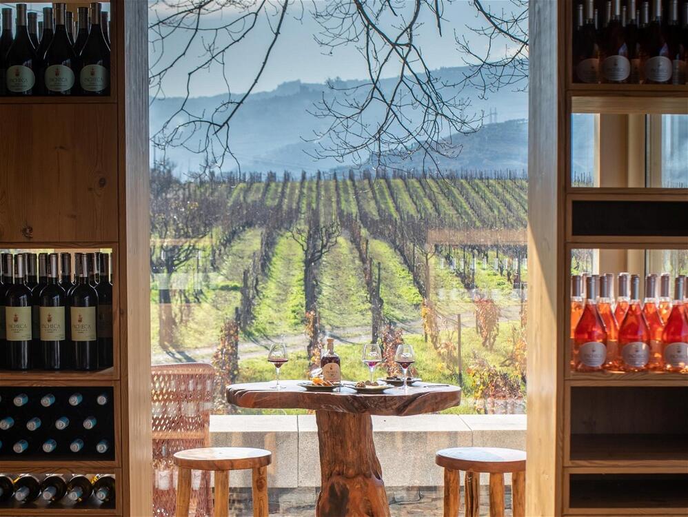 Foto general de The Wine House Hotel - Quinta da Pacheca