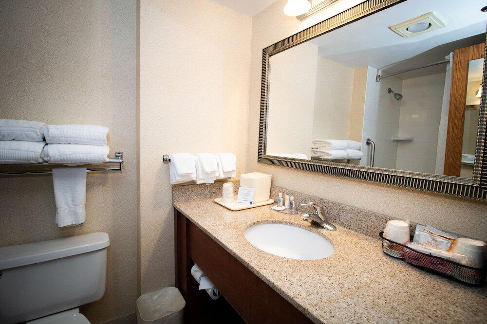 Foto del baño de Hotel Comfort Inn Arlington Heights-OHare Airport