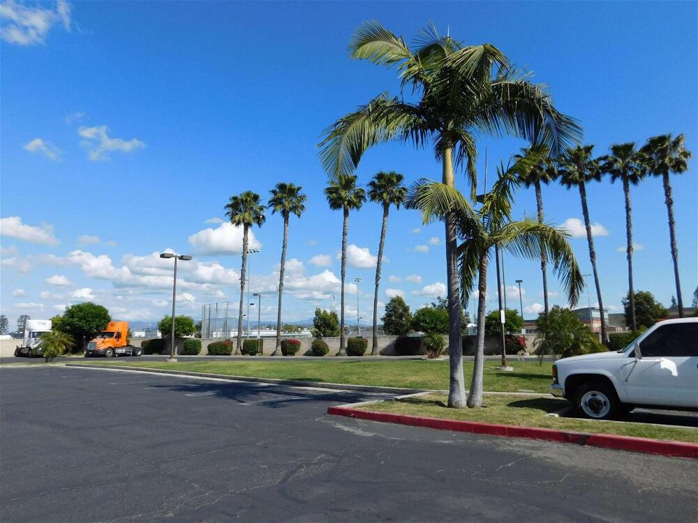 Foto de los servicios de Best Western Plus Anaheim Orange County Hotel