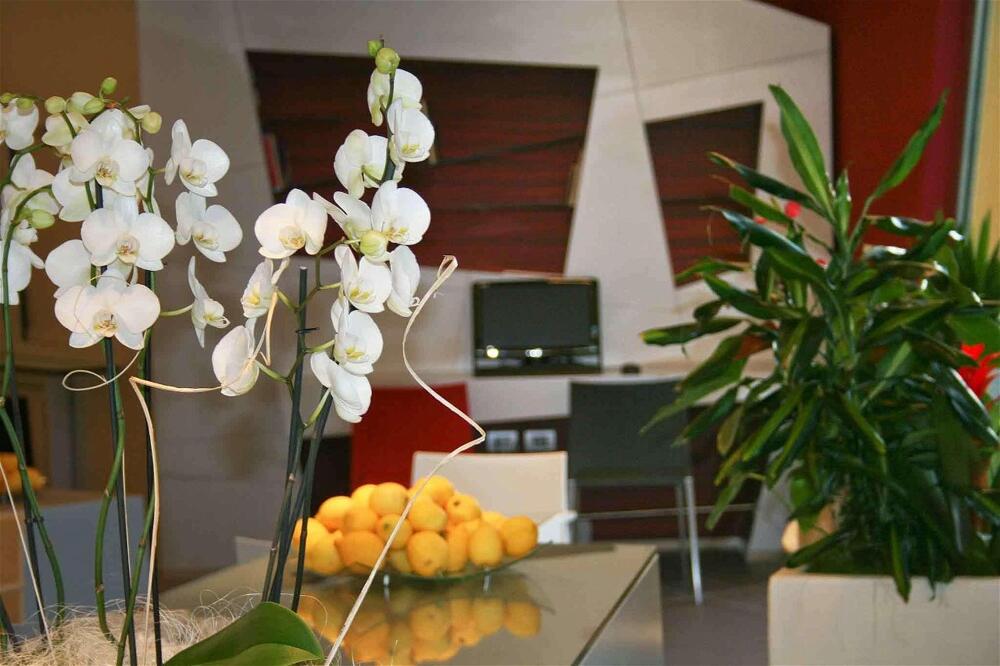 Foto general de Hotel ibis Styles Catania Acireale