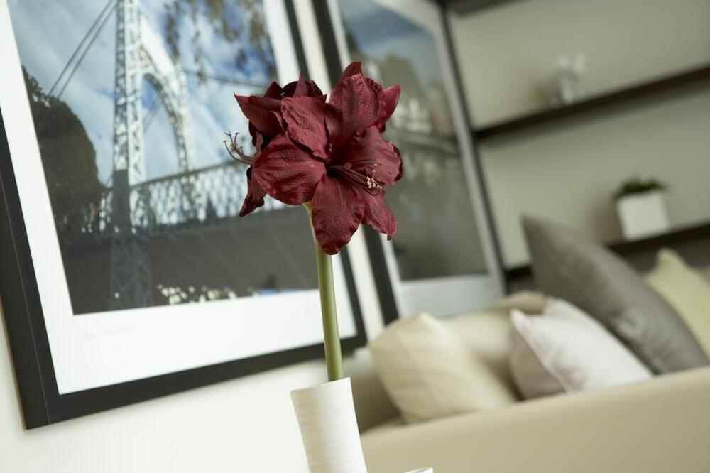 Foto general de Hotel ABode Canterbury
