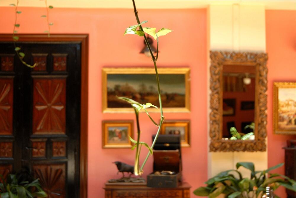 Foto general de Hotel Pinomar