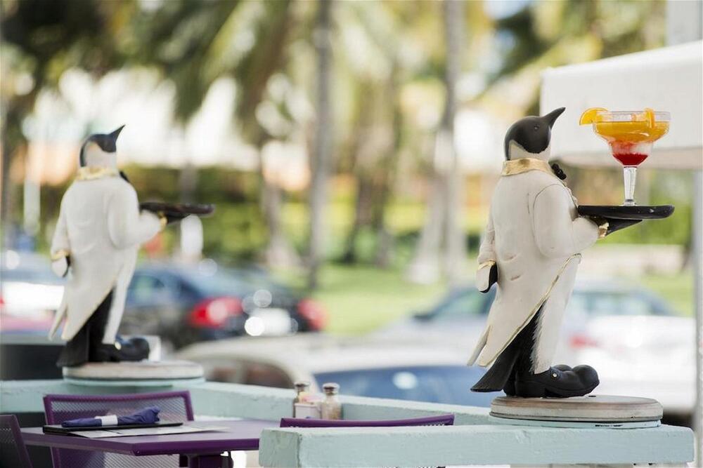 Foto general de Penguin Hotel