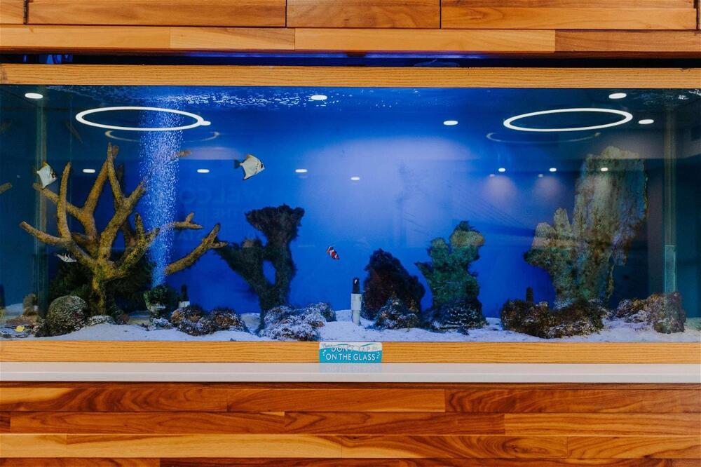 Facilities – Hotel Hampton Inn Rehoboth Beach