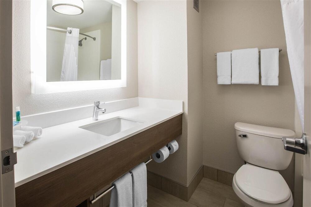 Bathroom – Holiday Inn Express &amp;amp; Suites Ludington, an IHG Hotel