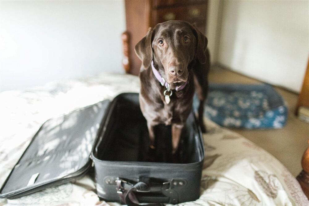 Foto general de Delta Hotels by Marriott Calgary South